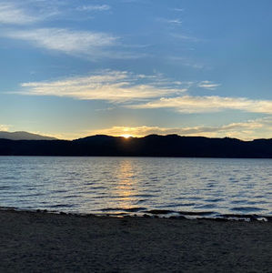 Meet your Posher, Asifa